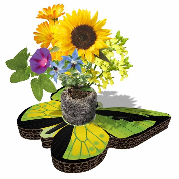 Eco-Decors Farfalla Illustrata – Decorazione piantabile con semi di fiori per api e farfalle