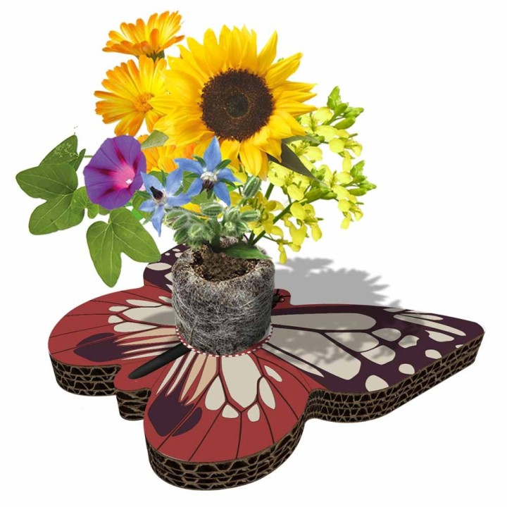 Eco-Decors Farfalla Illustrata – Decorazione piantabile con semi di fiori per api e farfalle