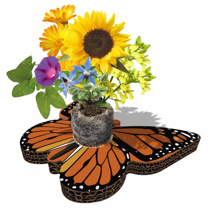 Eco-Decors Farfalla Illustrata – Decorazione piantabile con semi di fiori per api e farfalle