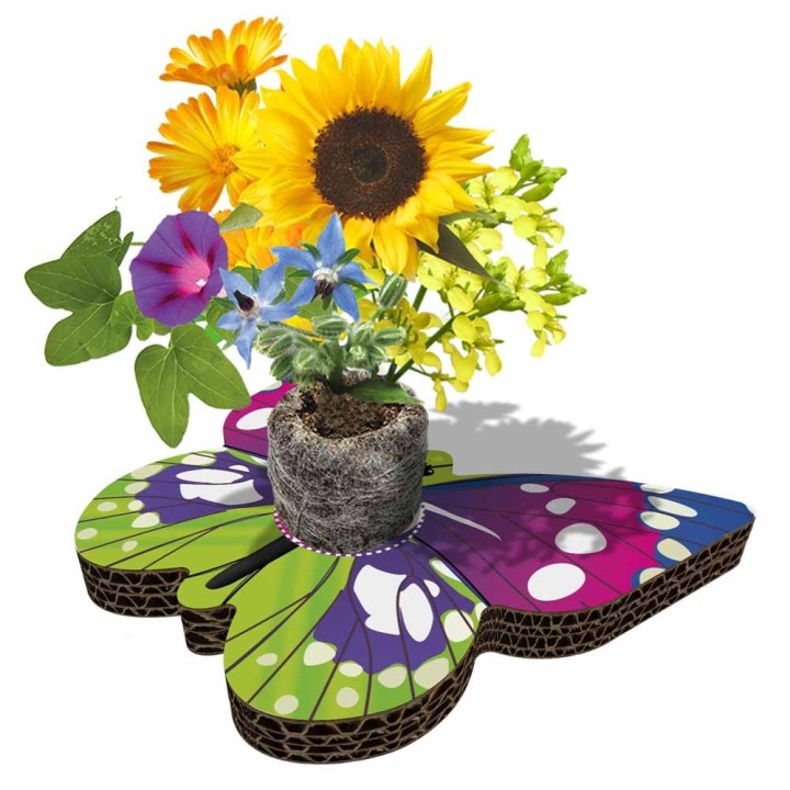 Eco-Decors Farfalla Illustrata – Decorazione piantabile con semi di fiori per api e farfalle