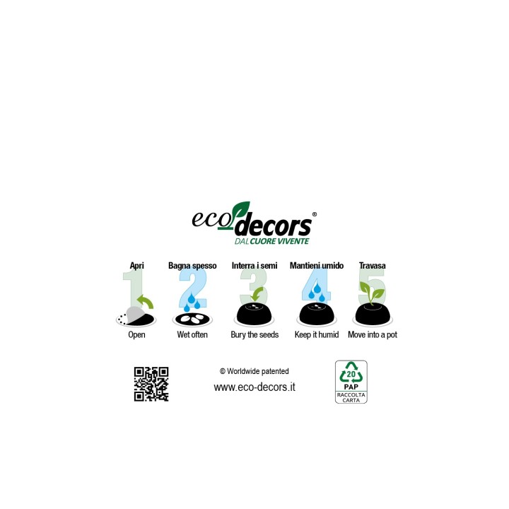 Eco-Decors Farfalla Illustrata – Decorazione piantabile con semi di fiori per api e farfalle
