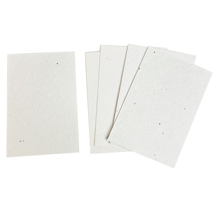 Eco-Card Cartoline neutre in bustina – Carta piantabile 10 x 15 cm per laboratori e piccoli regali