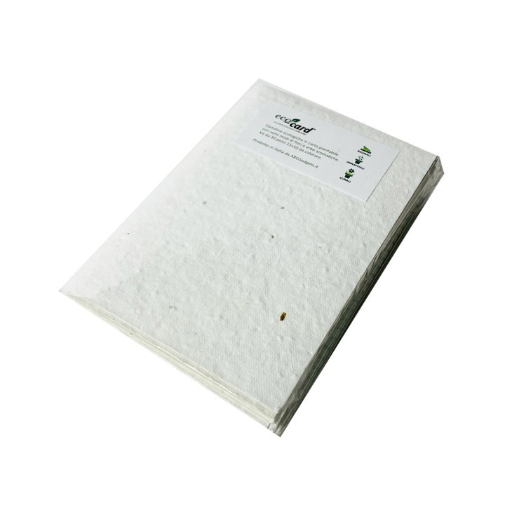 Eco-Card Cartoline neutre in bustina – Carta piantabile 10 x 15 cm per laboratori e piccoli regali