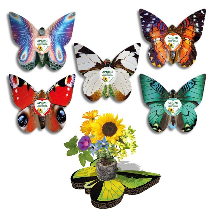 Espositore Eco-Decors - Collezione Farfalle Reali