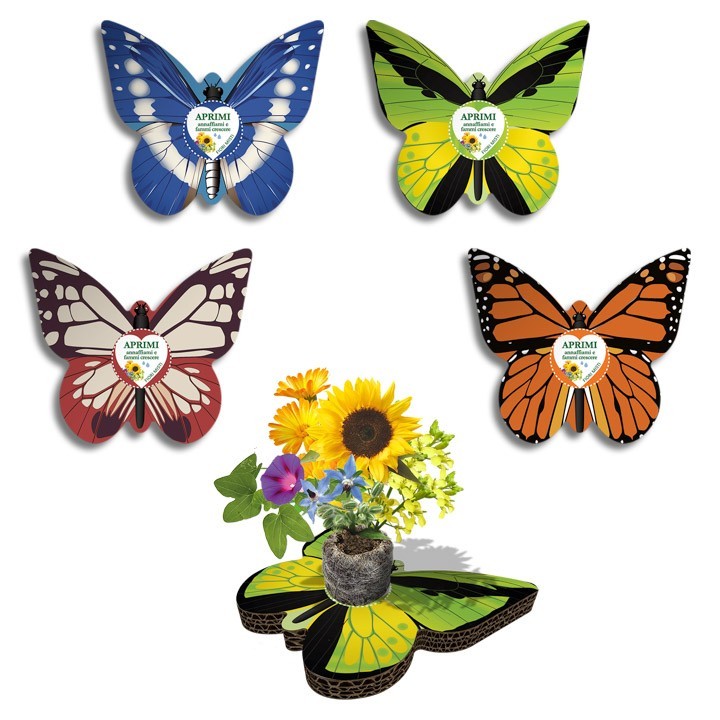 Espositore Eco-Decors - Collezione Farfalle Illustrate