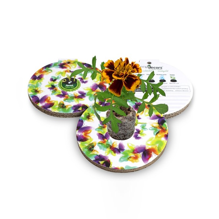 Pallina ecologica Primavera farfalle – Calendula