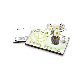 Eco-Postcard zodiaco Gemelli - margherita