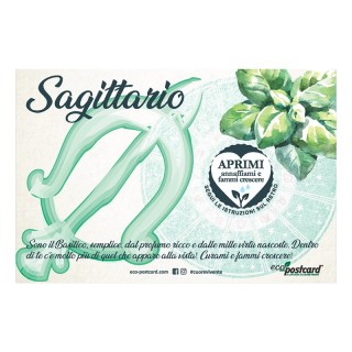 Eco-Postcard zodiaco Sagittario - basilico