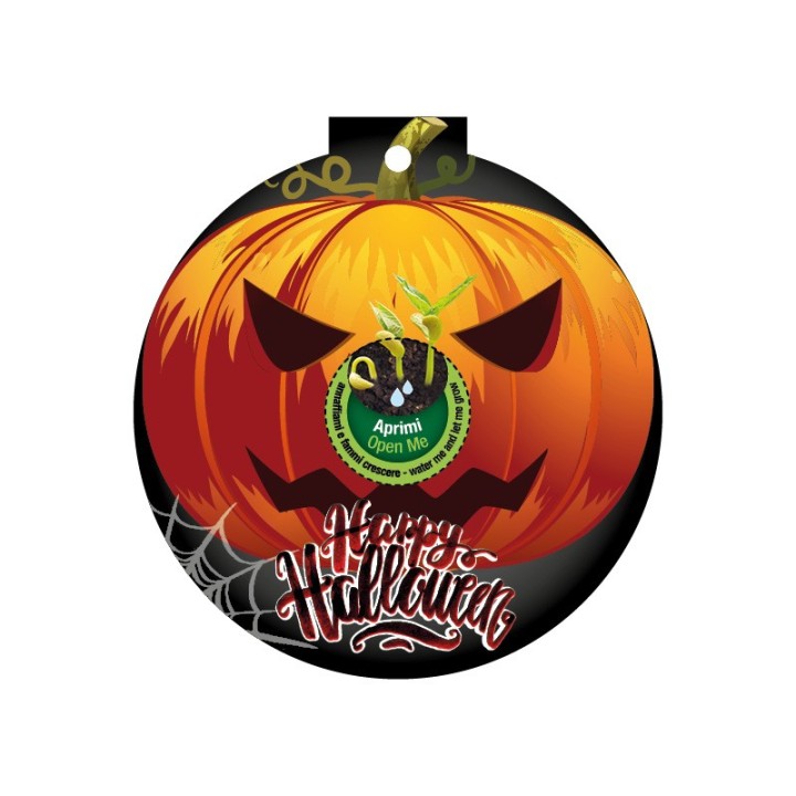 Eco-Decors decorazione ecologica halloween, con semi di zucchetta ornamentale