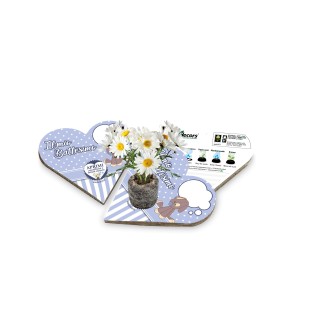 Eco-Decors Bomboniera ecologica per Battesimo Bambino - Margherita