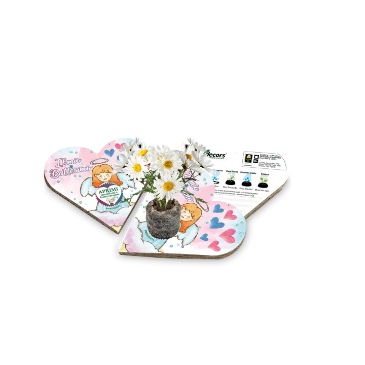 Eco-Decors Bomboniera ecologica per Battesimo Bambina - Margherita
