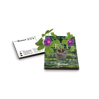 Eco-Postcard cartolina artistica Girasoli Van Gogh con Realtà Aumentata