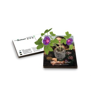 Eco-Postcard Artistica - Monna Lisa con Realtà Aumentata