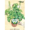 Eco-Postcard Illustrazione ad Acquerello - Basilico