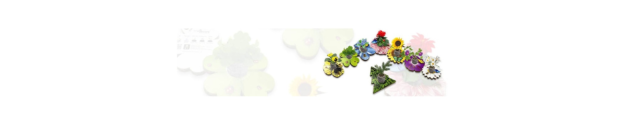 Decorazioni ecologiche sagomate a forma di fiori Eco-Decors