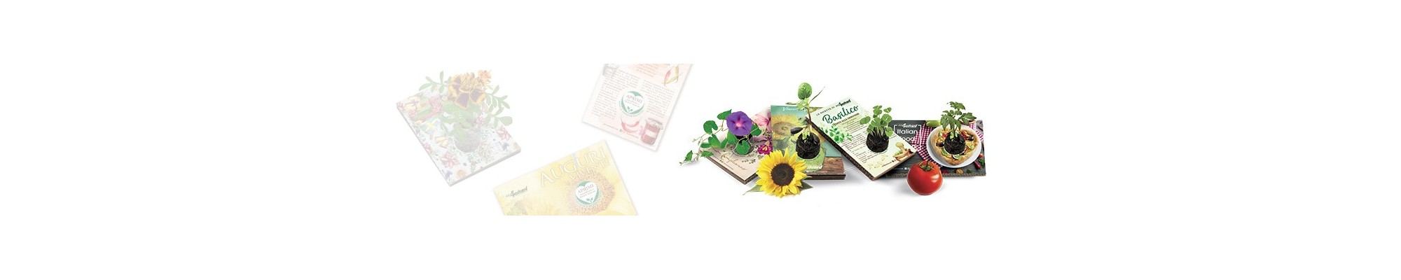 Cartoline ecologiche con semi | Eco-Postcard