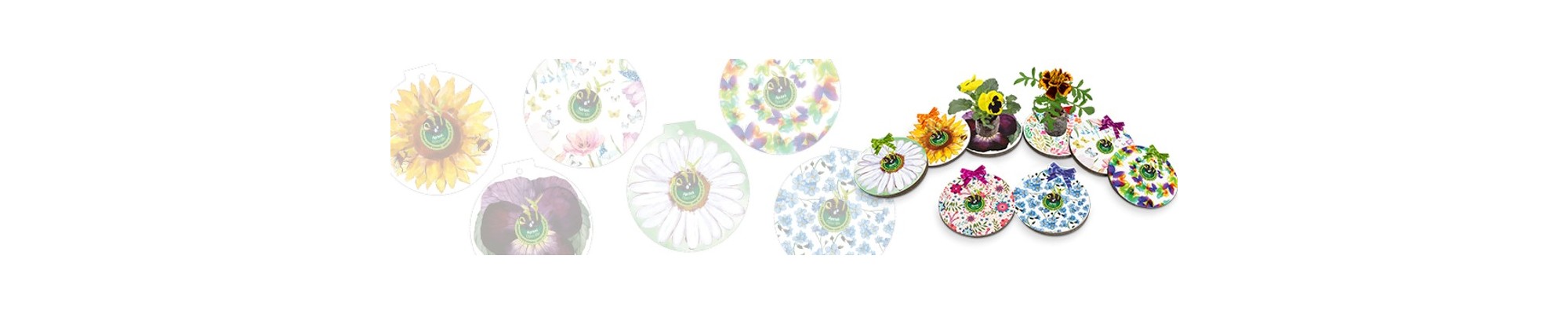 Primavera