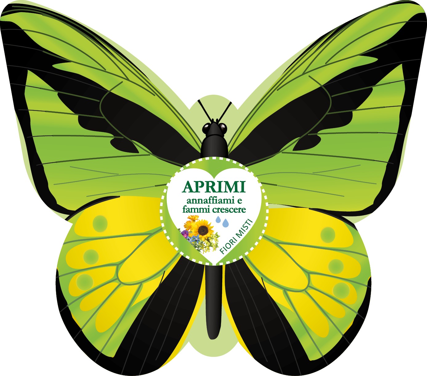 Farfalla Illustrata Birdwing Verde-Gialla