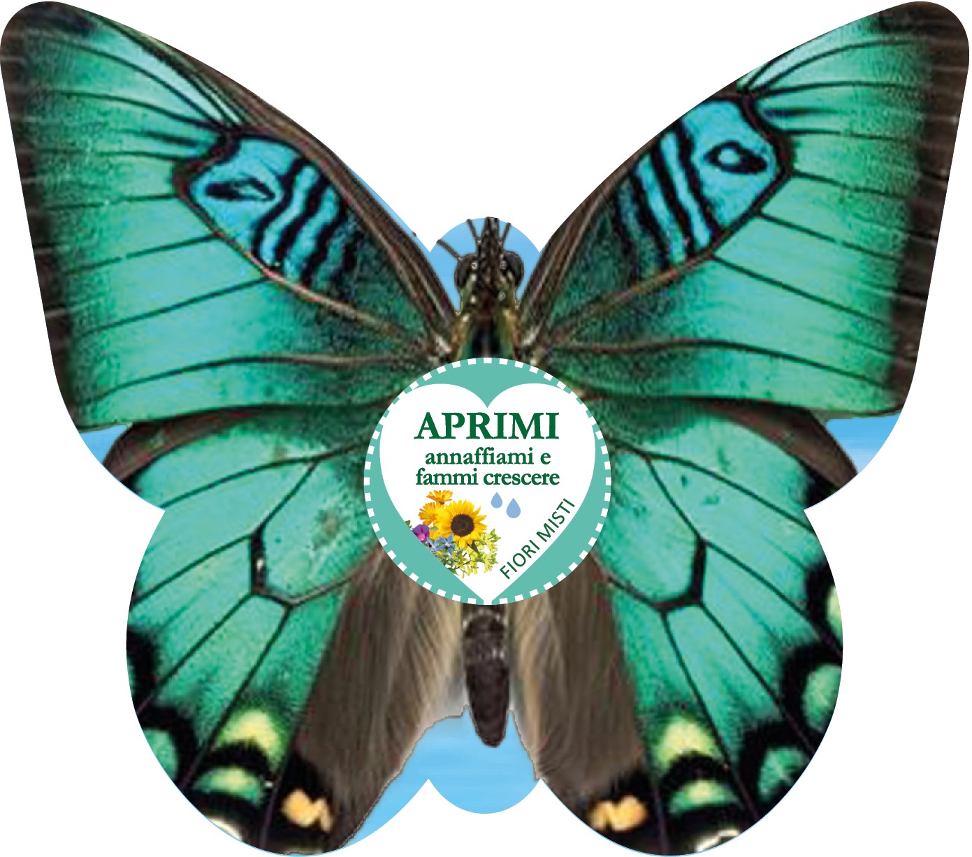 Farfalla Pavone Verde Smeraldo