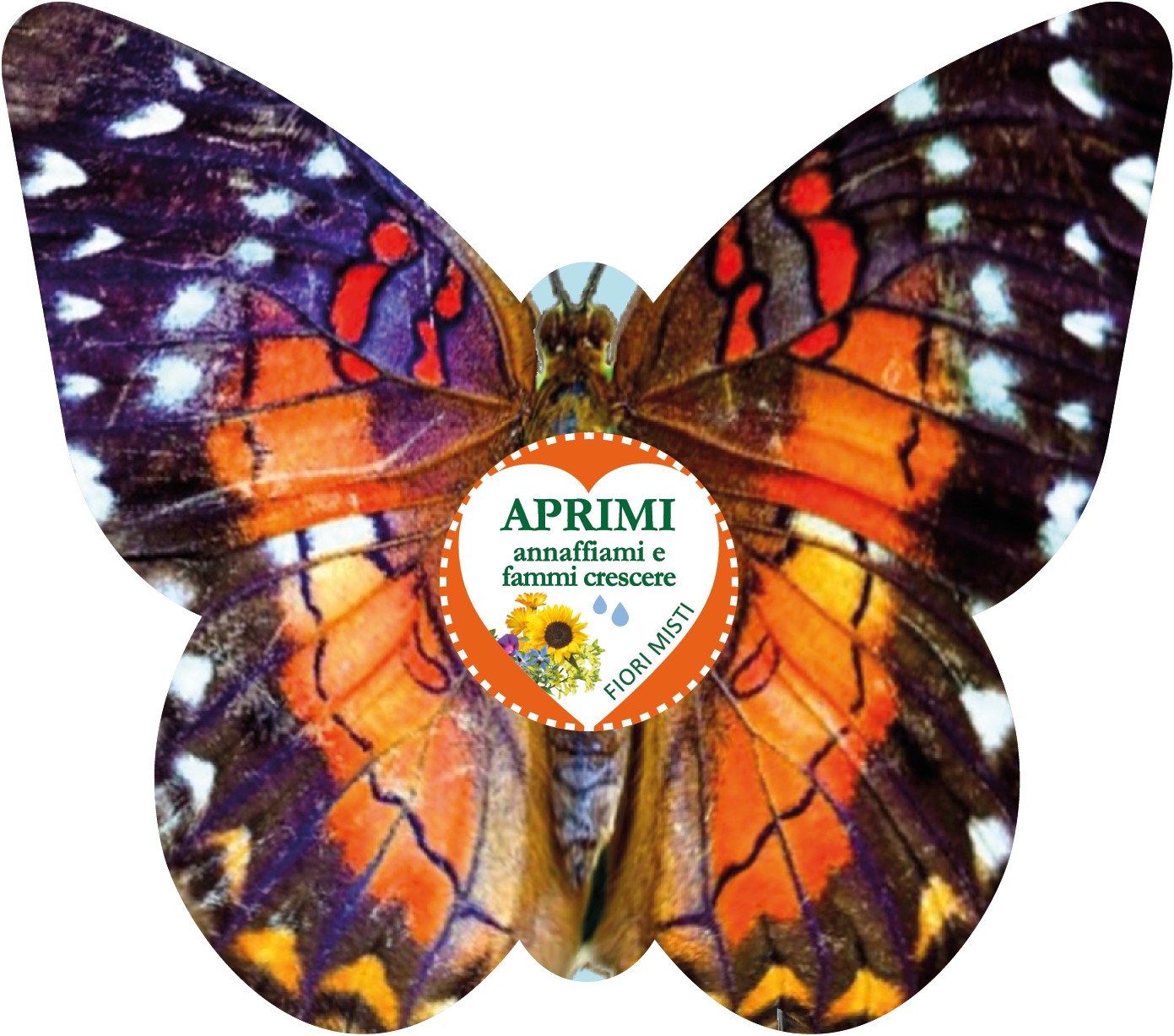 Vanessa Atalanta
