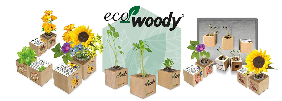 Eco-Woody