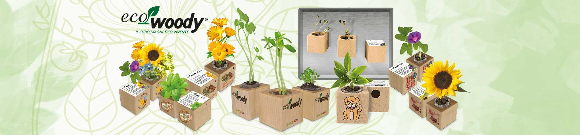 Eco-Woody